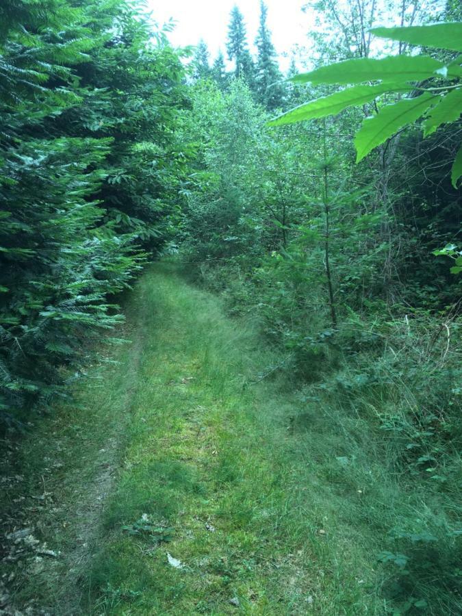 Foret Enchantee De Bourgogne La Celle-En-Morvan Eksteriør billede