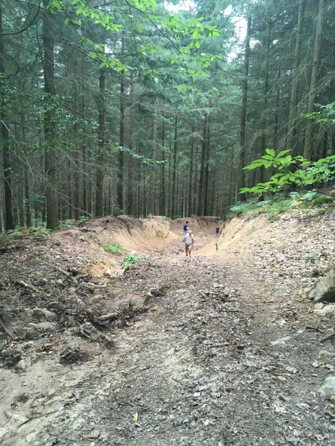 Foret Enchantee De Bourgogne La Celle-En-Morvan Eksteriør billede
